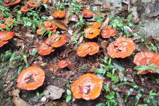 圖片關鍵詞 圖片關鍵詞