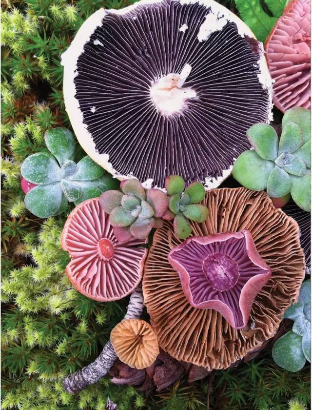 圖片關鍵詞 圖片關鍵詞