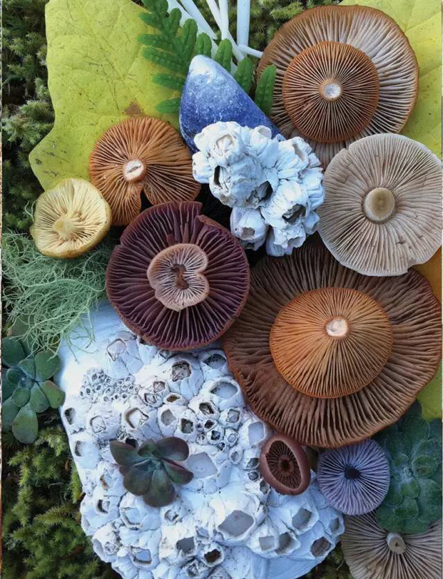 圖片關鍵詞 圖片關鍵詞