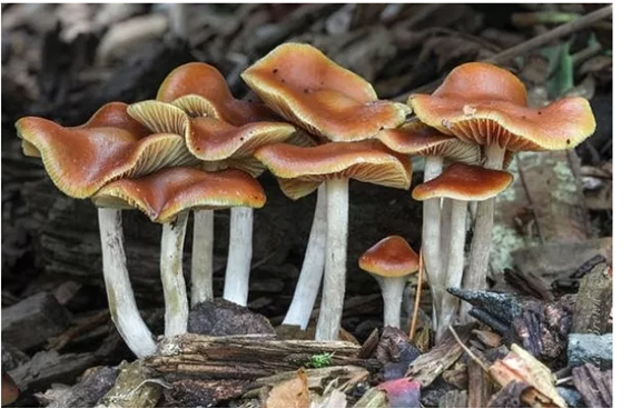 圖片關(guān)鍵詞 圖片關(guān)鍵詞