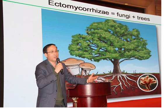 圖片關鍵詞 圖片關鍵詞