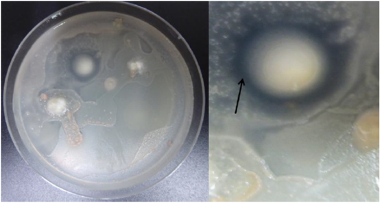 圖片關(guān)鍵詞 圖片關(guān)鍵詞
