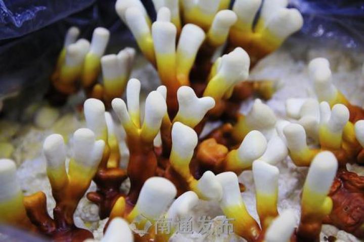 圖片關(guān)鍵詞 圖片關(guān)鍵詞