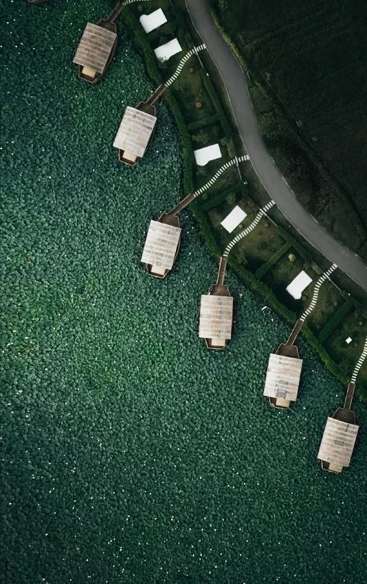 圖片關鍵詞 國家蘑菇地理:中國哪里的蘑菇最好吃?