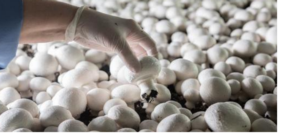 圖片關(guān)鍵詞 圖片關(guān)鍵詞