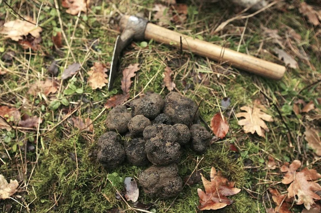 圖片關鍵詞 圖片