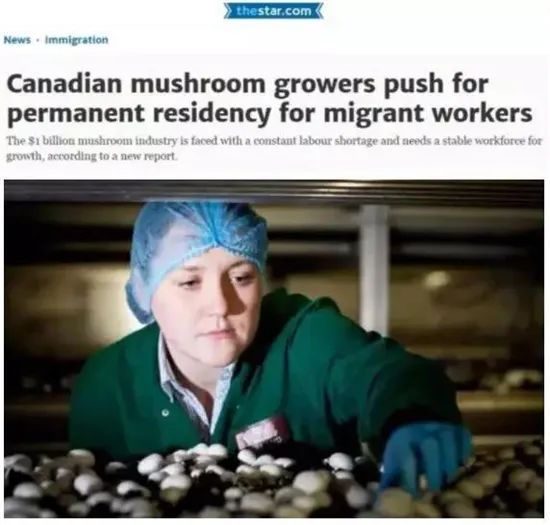 圖片關鍵詞 圖片