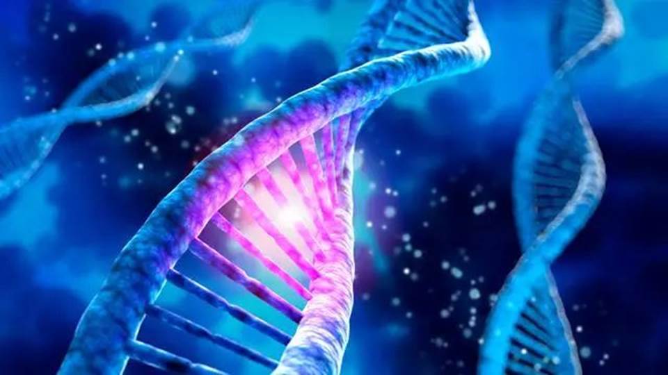 圖片關(guān)鍵詞 圖片