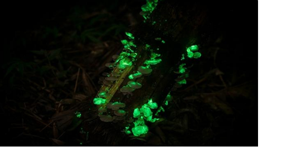 圖片關鍵詞 圖片關鍵詞