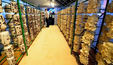 圖片關鍵詞 圖片關鍵詞