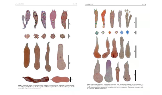 圖片關(guān)鍵詞 https://mmbiz.qpic.cn/mmbiz_png/OnRbAd1HL46g40TAzJF5YWtMuUz3YPkkhOjglcWB1BVRlPNgvQbWSoibMnBvAucw6MOjmqfCKnBowgQQcpsNrFA/640?wx_fmt=png