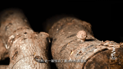 圖片關(guān)鍵詞 圖片
