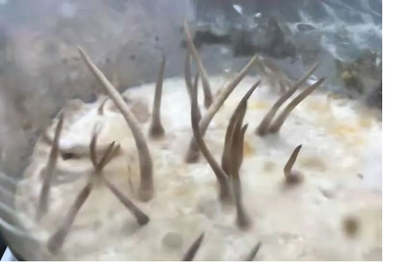 圖片關(guān)鍵詞 圖片關(guān)鍵詞