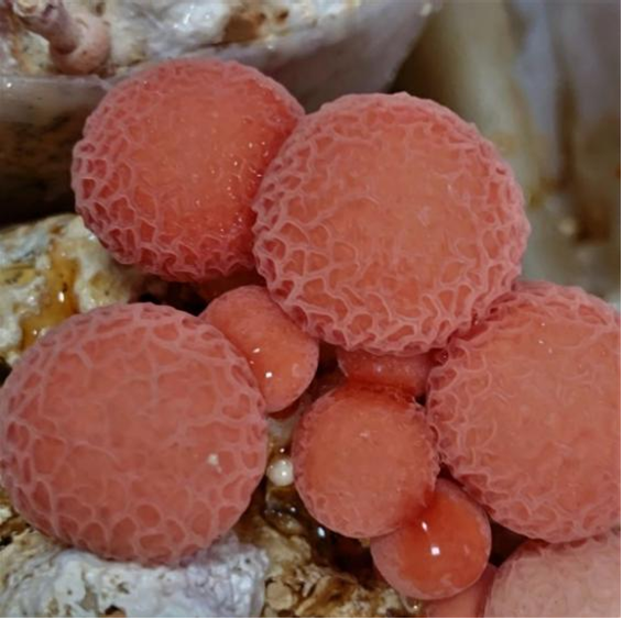 圖片關鍵詞 圖片關鍵詞