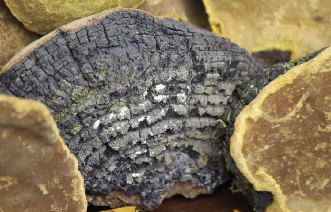 圖片關(guān)鍵詞 https://mmbiz.qpic.cn/mmbiz_jpg/OnRbAd1HL46sVcl570OYuibmGIXNnCB5kcjZibeJwSBibWHewUFqfpkrWWOSQ7NYfiaY8ewjw8mwruLL0M0FhGXLqQ/640?wx_fmt=jpeg