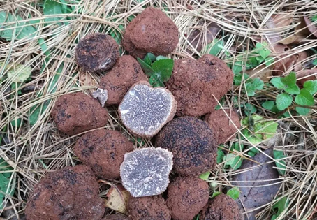 圖片關鍵詞 圖片關鍵詞