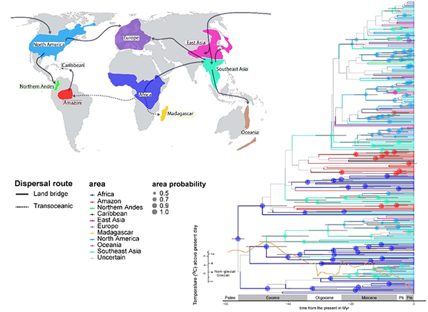 圖片關鍵詞 圖片關鍵詞