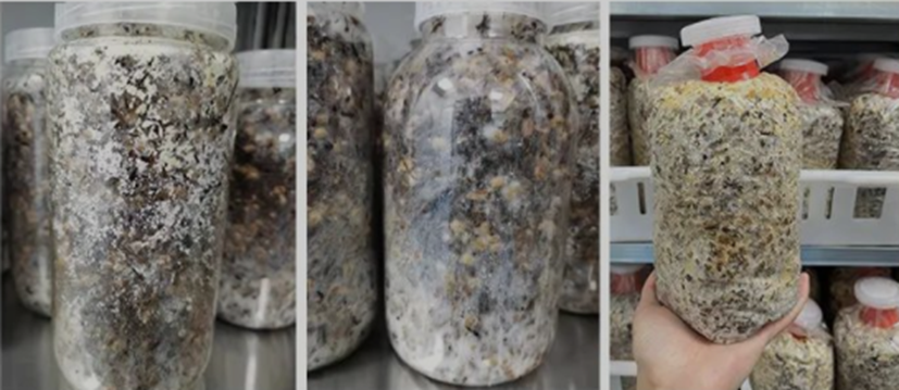 圖片關(guān)鍵詞 圖片關(guān)鍵詞